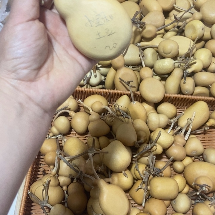 小***豆小宝和土豆恭喜发财