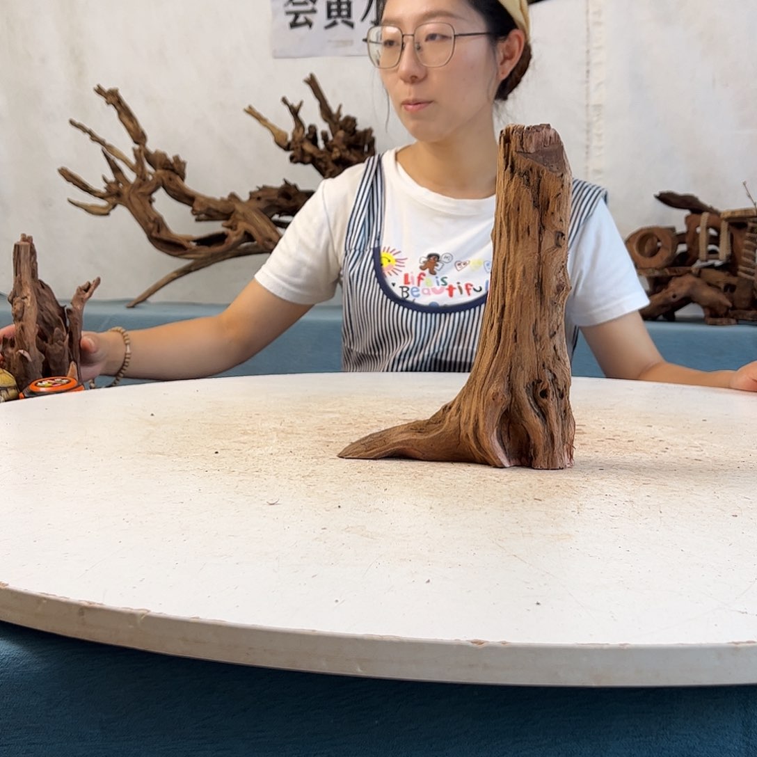 沉木造景寄居蟹景