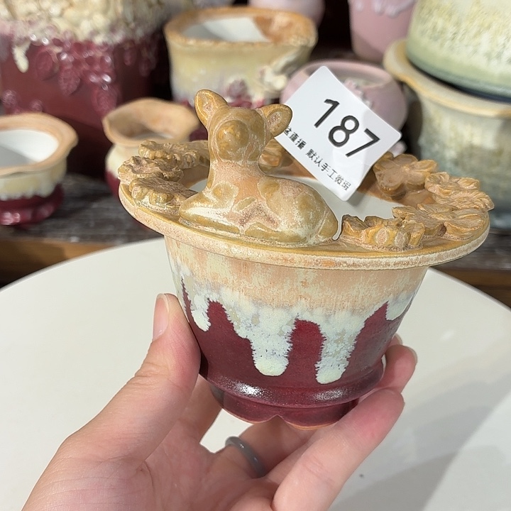 花盆花盆花盆花盆