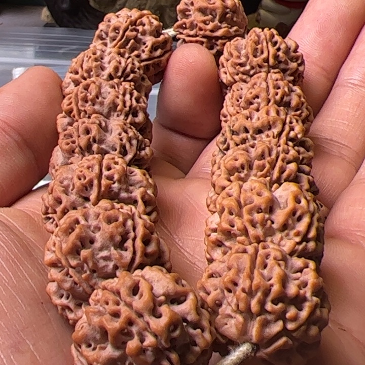 金刚菩提手串22粗筋蜂窝梅花双龙