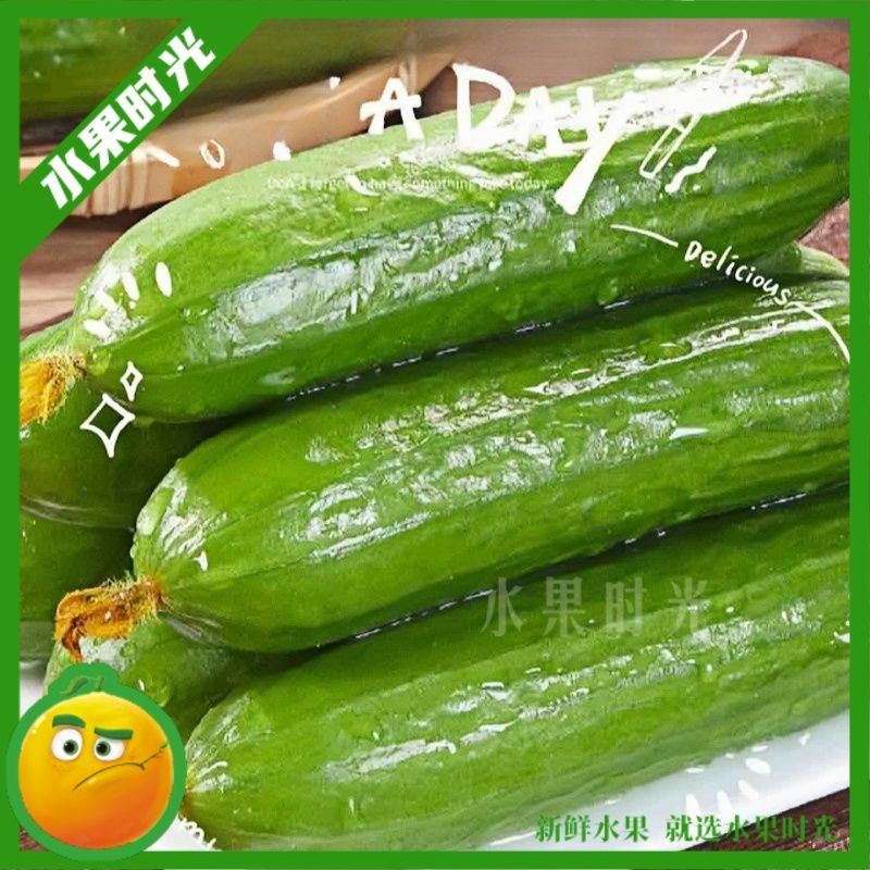 「0脂0卡」水灵灵的水果小黄瓜一根  