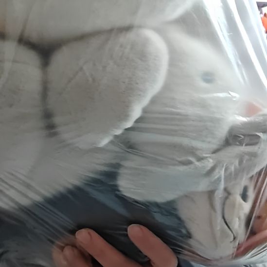 杰瑞大象包包包包