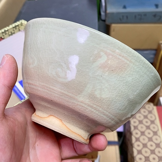 紫砂哈哈哈哈哈哈哈哈 