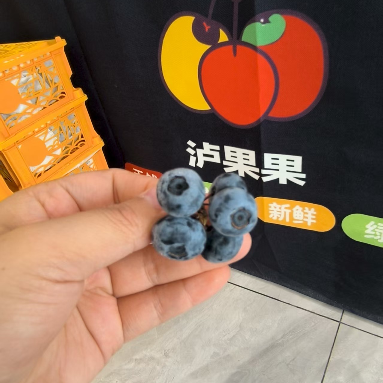 枝冠蓝莓一盒云南省