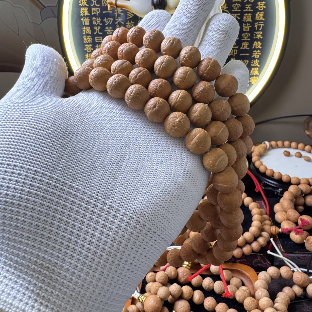 2025新籽尼泊尔凤眼菩提，12m108福利文玩好物