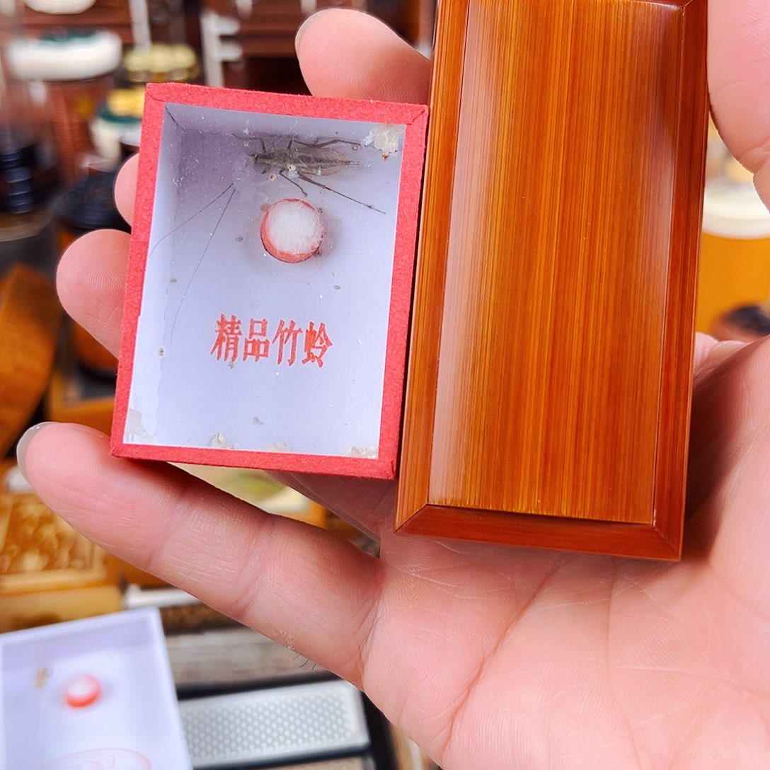 竹福利老玉竹单格竹蛉盒+竹蛉