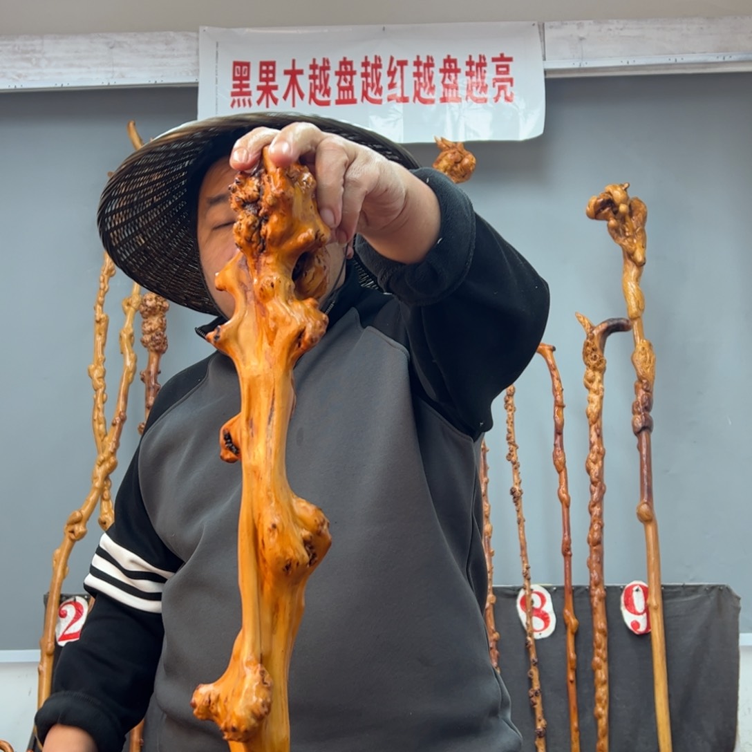 黑果木其他黑果木572