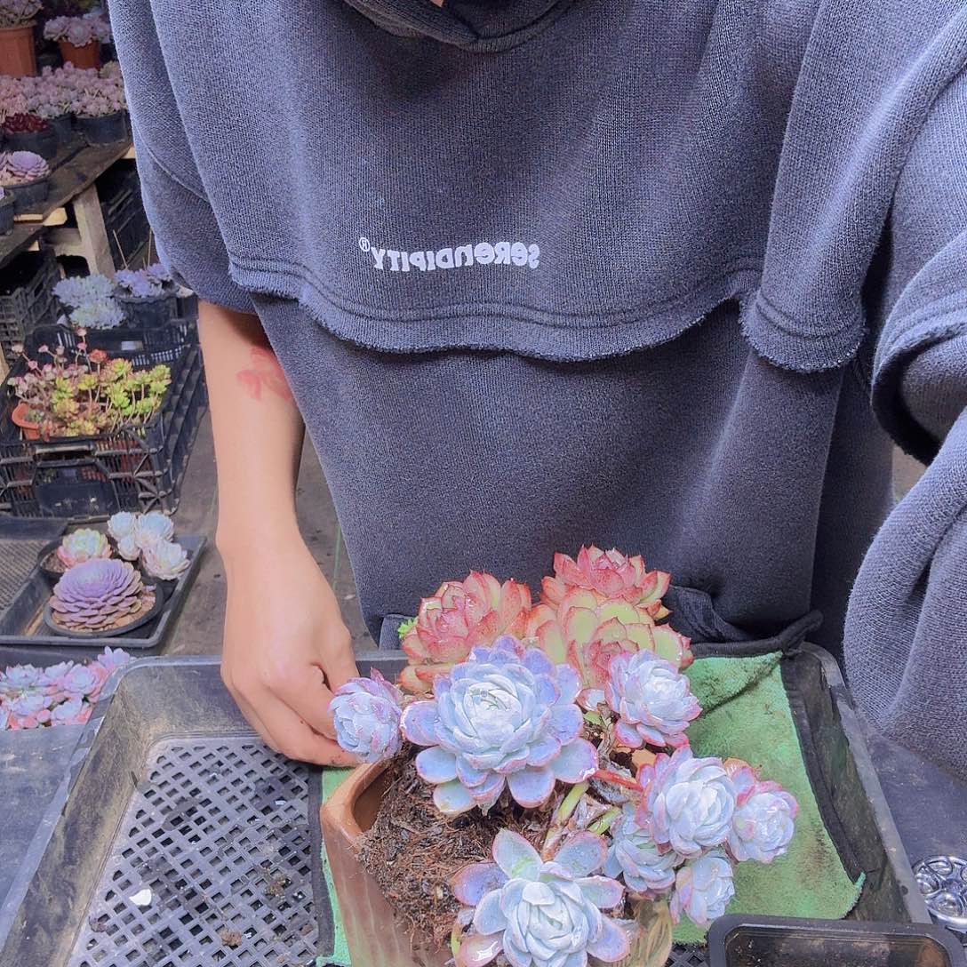 晓***晗005贝瑞一物一拍贝瑞