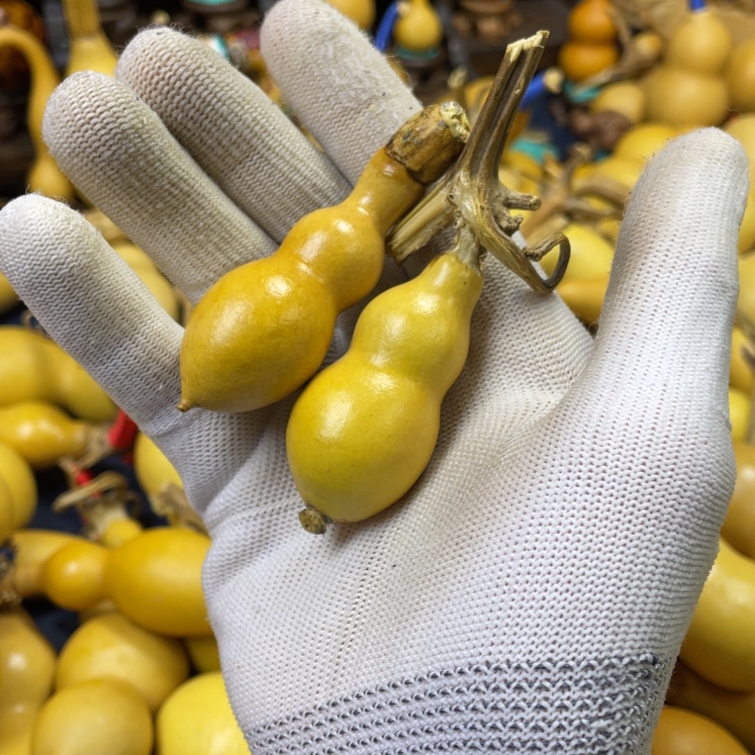 毛****大叶紫檀（黑酸枝木类）