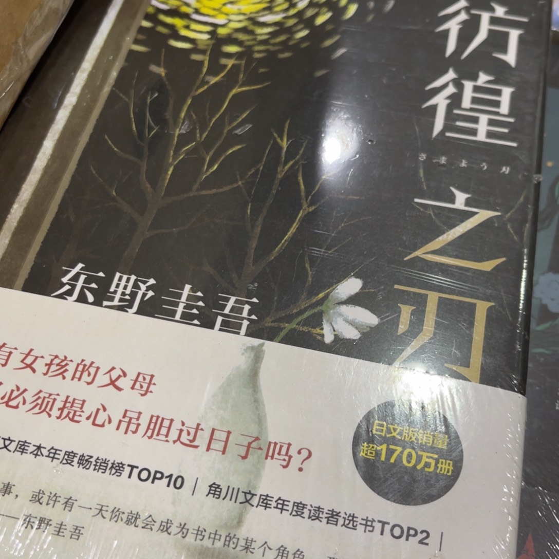 笑***尘彷徨之刃精装一个