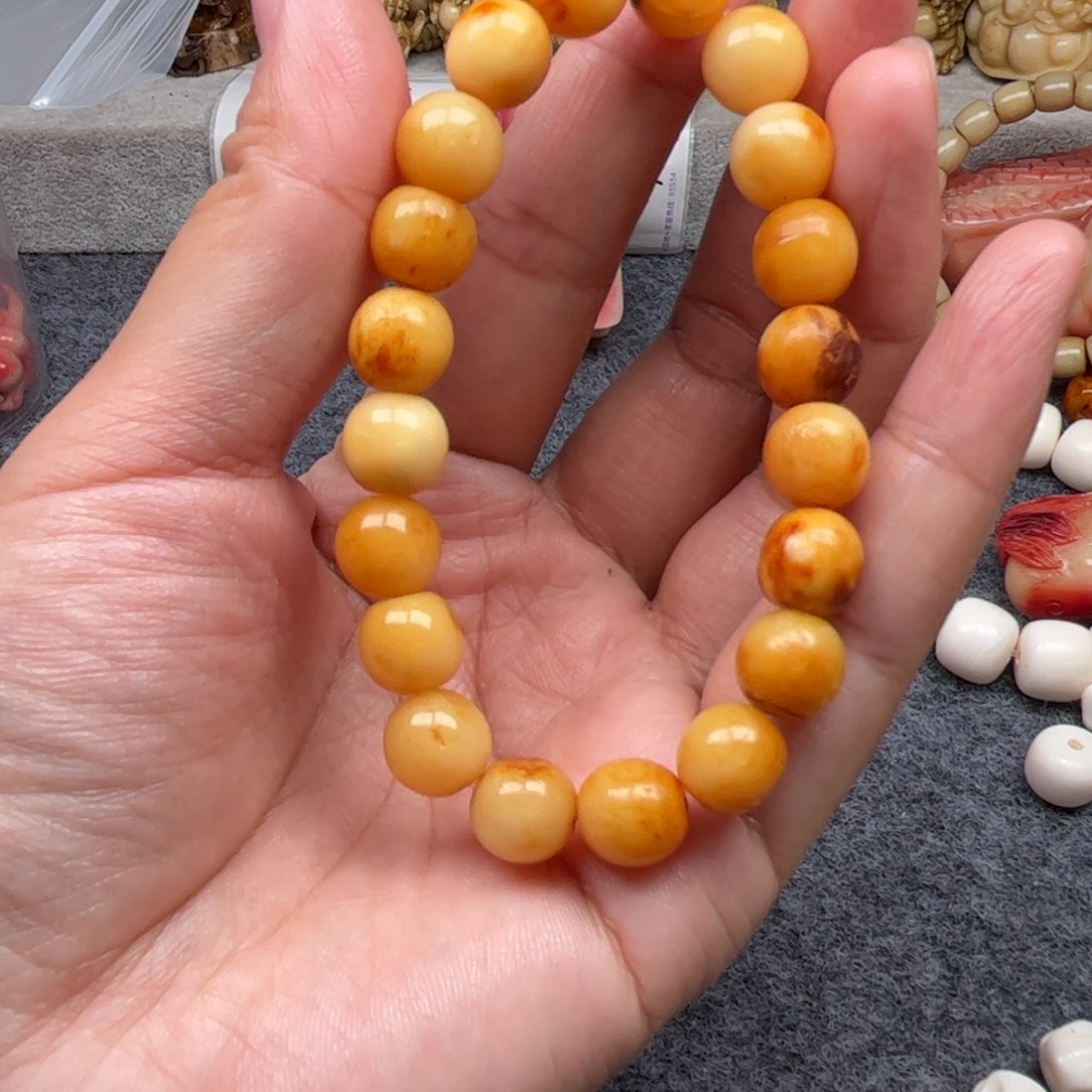 鹿骨其他人工养殖驼骨14