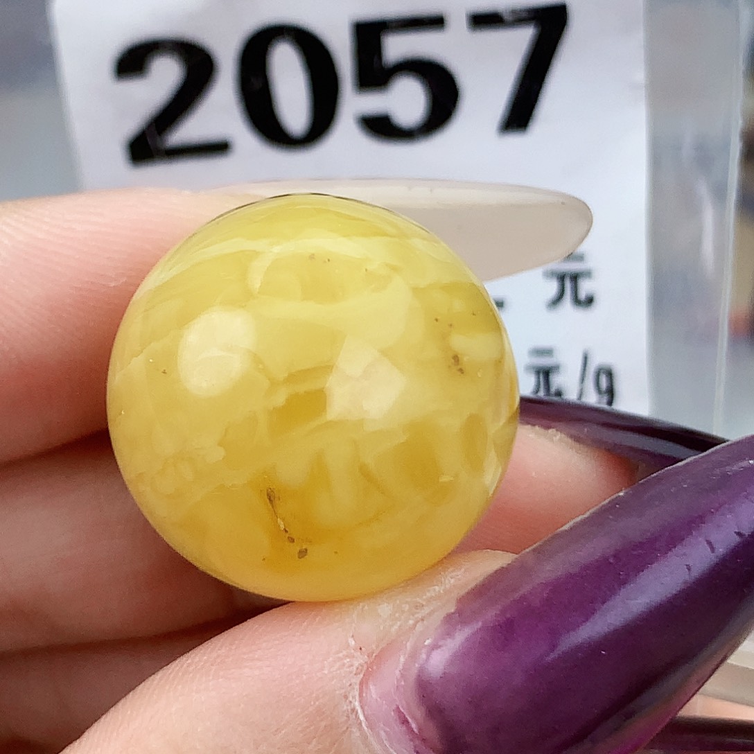 琥珀未镶嵌珠宝奇石20.9植物