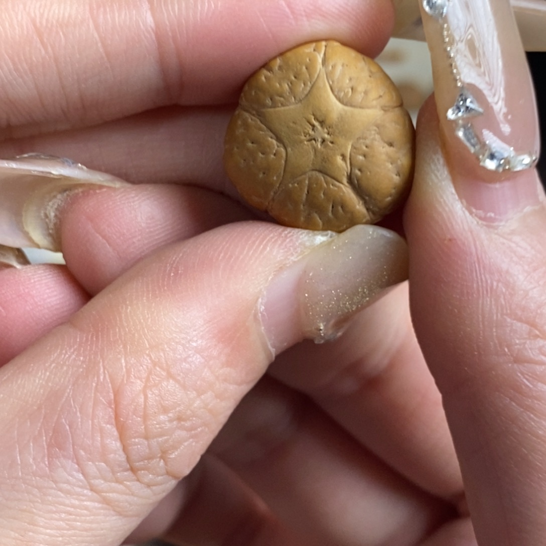 凤眼菩提吊坠五星上将18.9