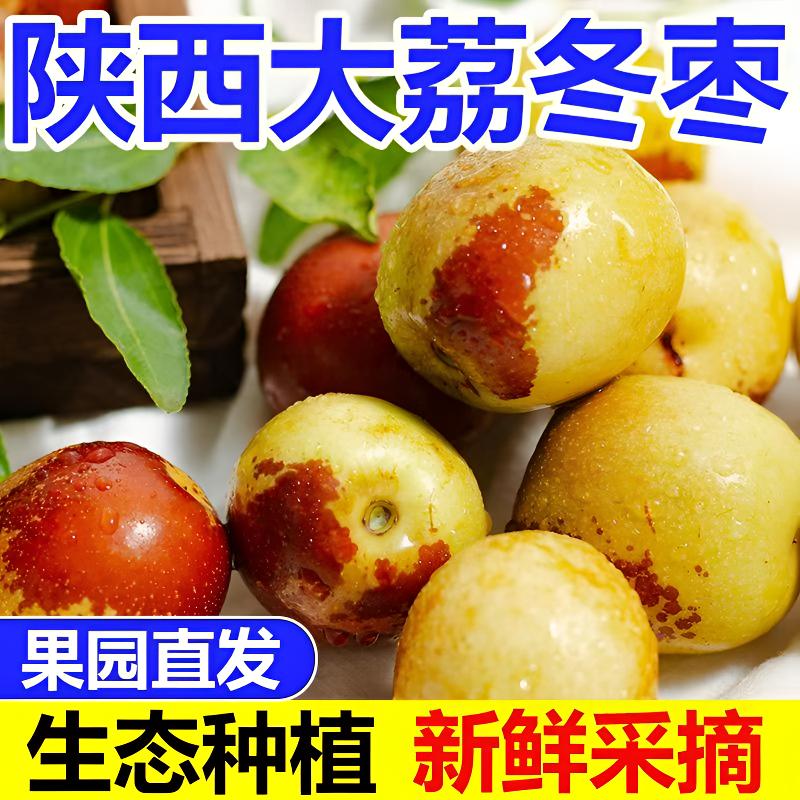 5斤正宗大荔冬枣现摘新鲜水果脆甜小红枣孕妇整箱孕妇包邮多汁