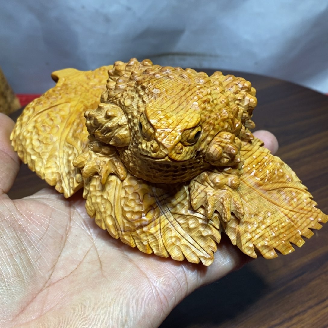 用***7柏木（崖柏）崖柏呱呱