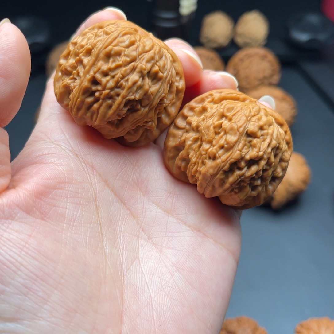 文玩核桃把件41白狮子打底