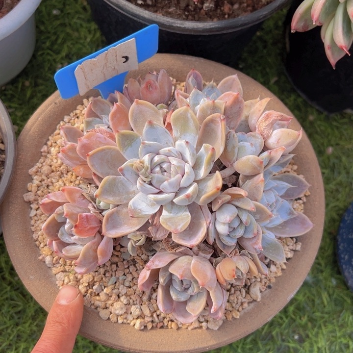 健健康康平平安安