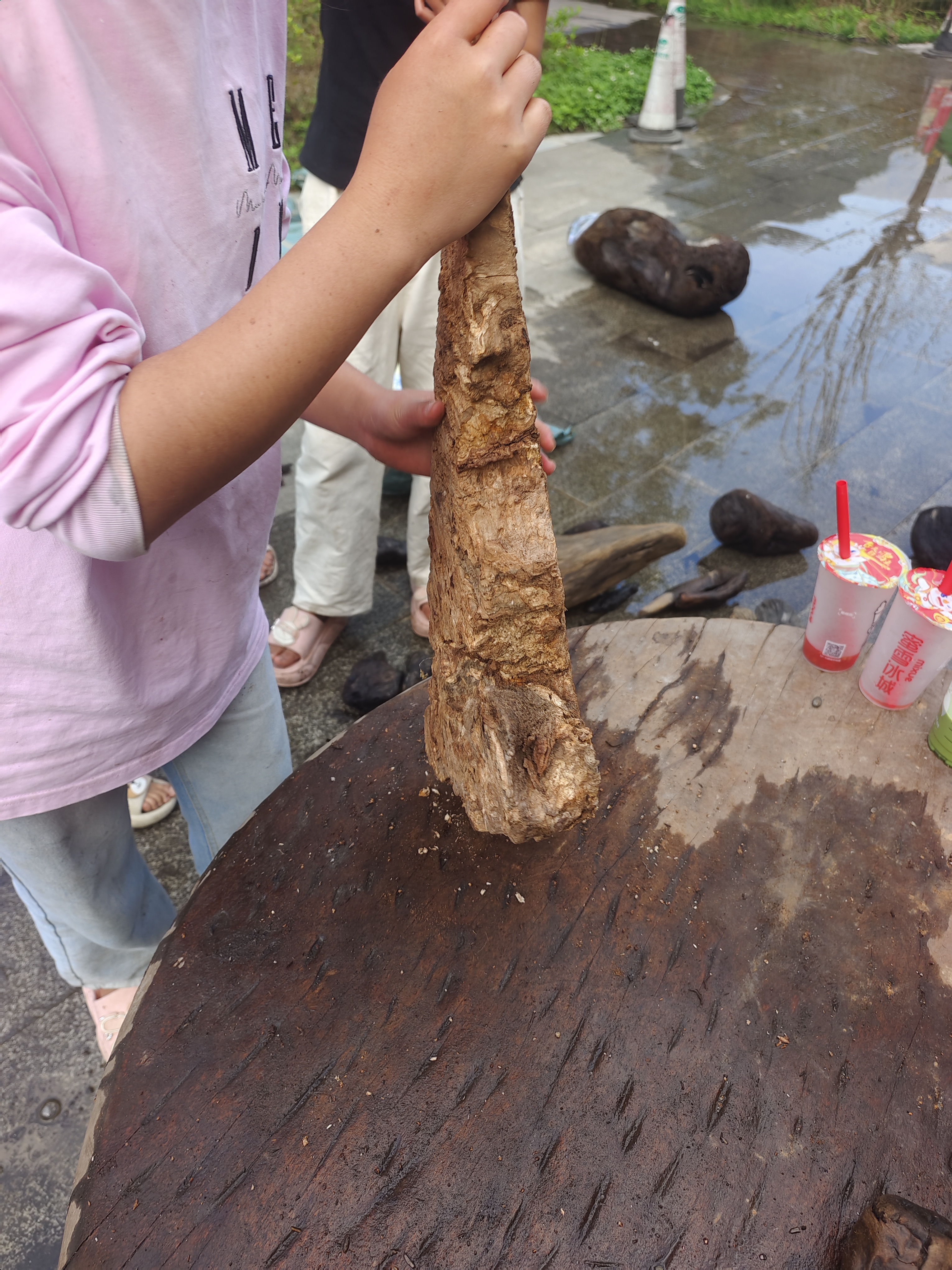 民间使用风化木漂流木