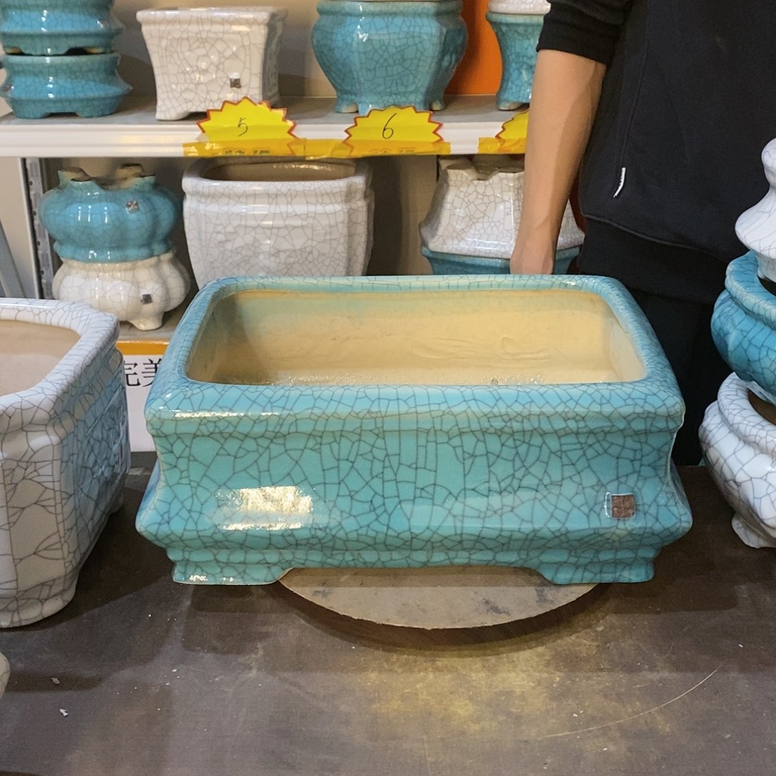 顺****?花盆花盆里的花都开