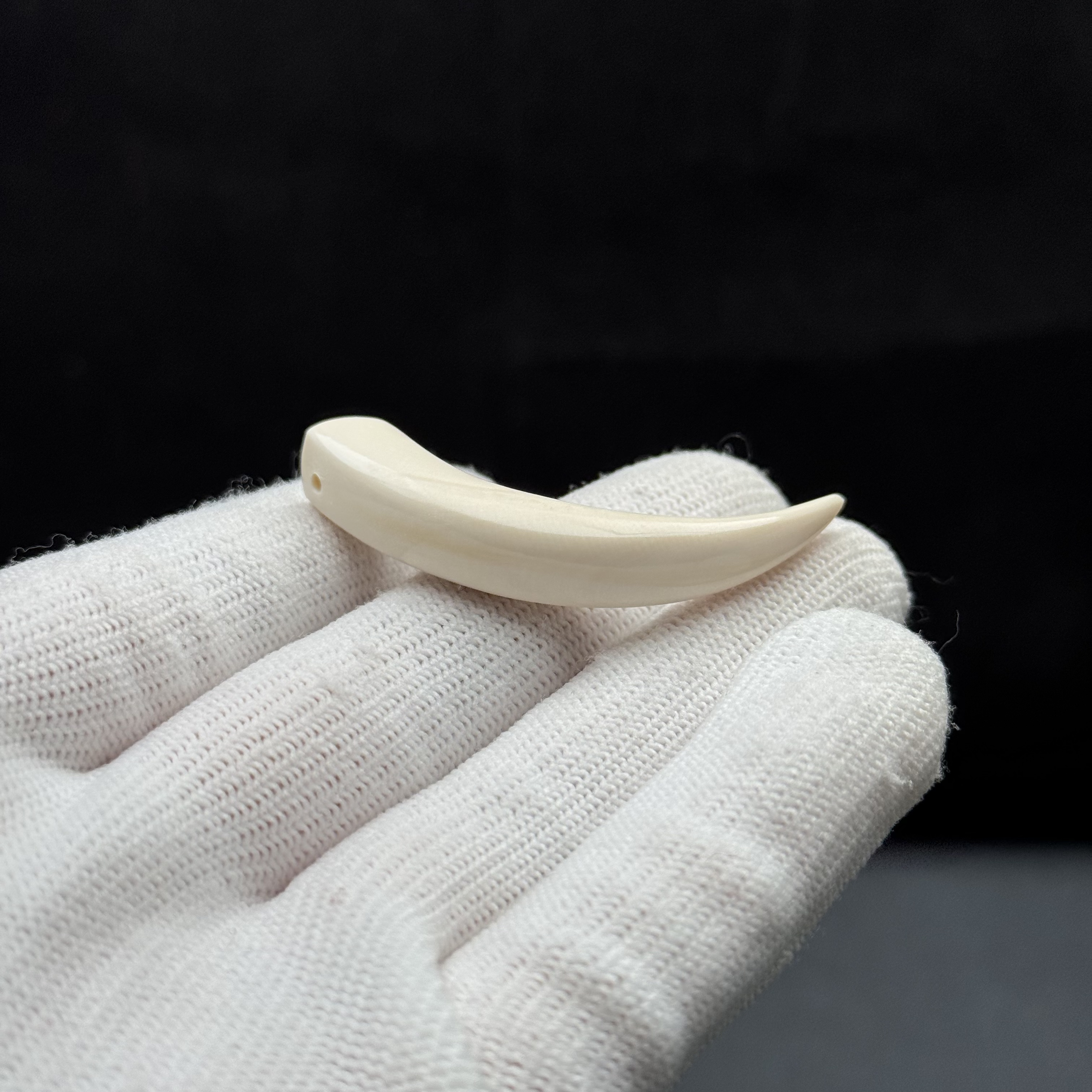 D3991天然猛犸牙 牙尖 47mm支持鉴定 假一罚四