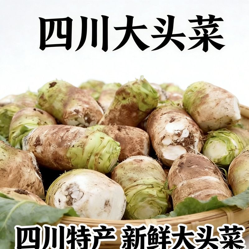 四川新鲜大头菜农户自家种植芥菜头脆嫩芥菜头可腌制