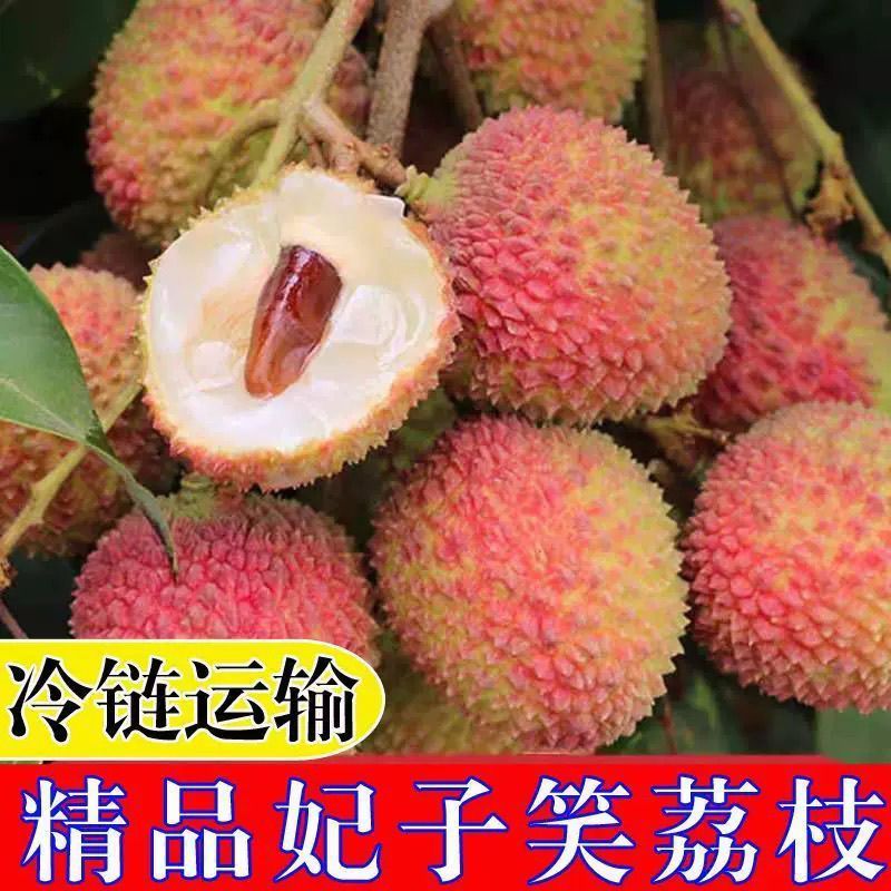 【妃子笑荔枝】老树妃子笑荔枝蜜香蜜甜肉厚多汁
