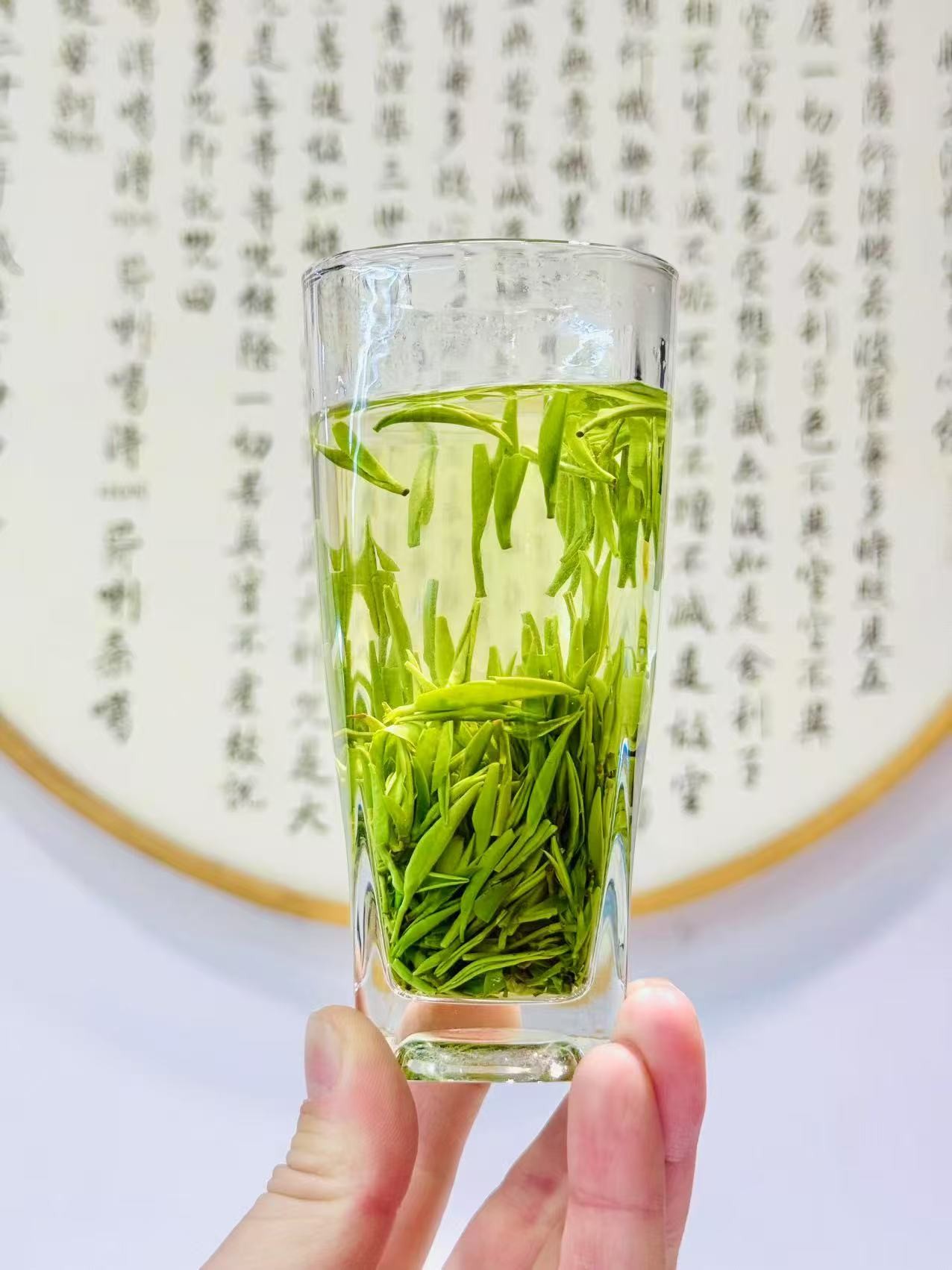 2025年明前头采松针剑毫云雾毛尖茶