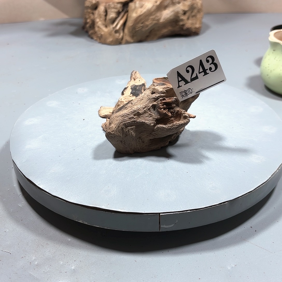 举****大果紫檀（缅甸花梨）