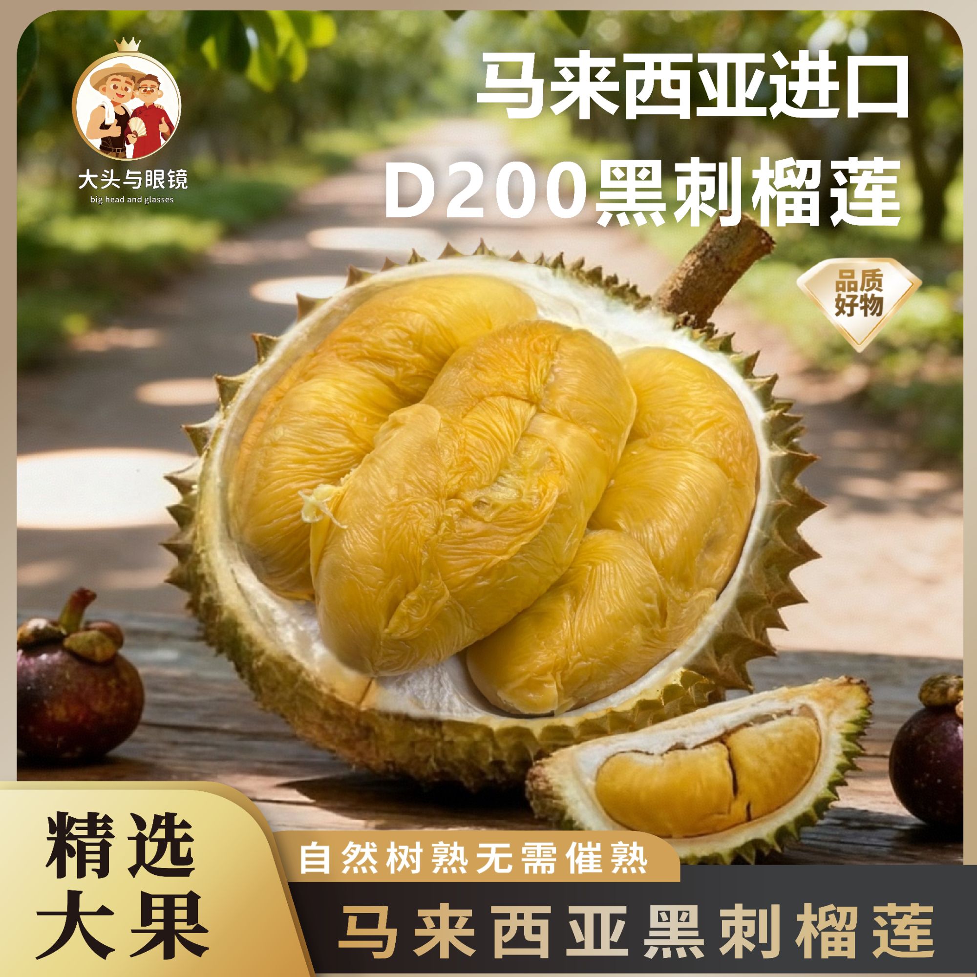 【镜头甄选】马来西亚黑刺D200榴莲 液氮锁鲜 *1颗