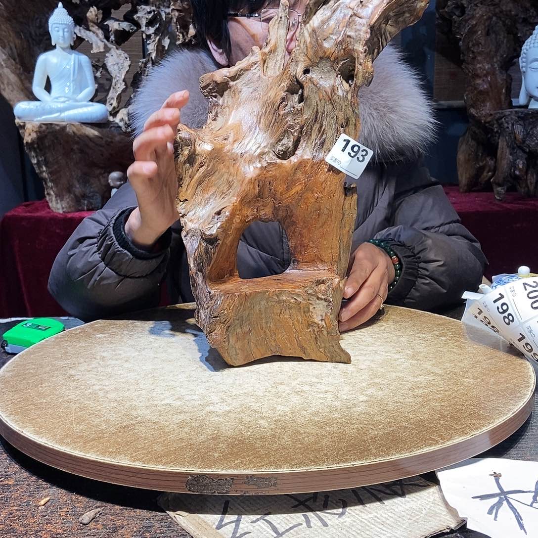 青***树193。株木随行根艺