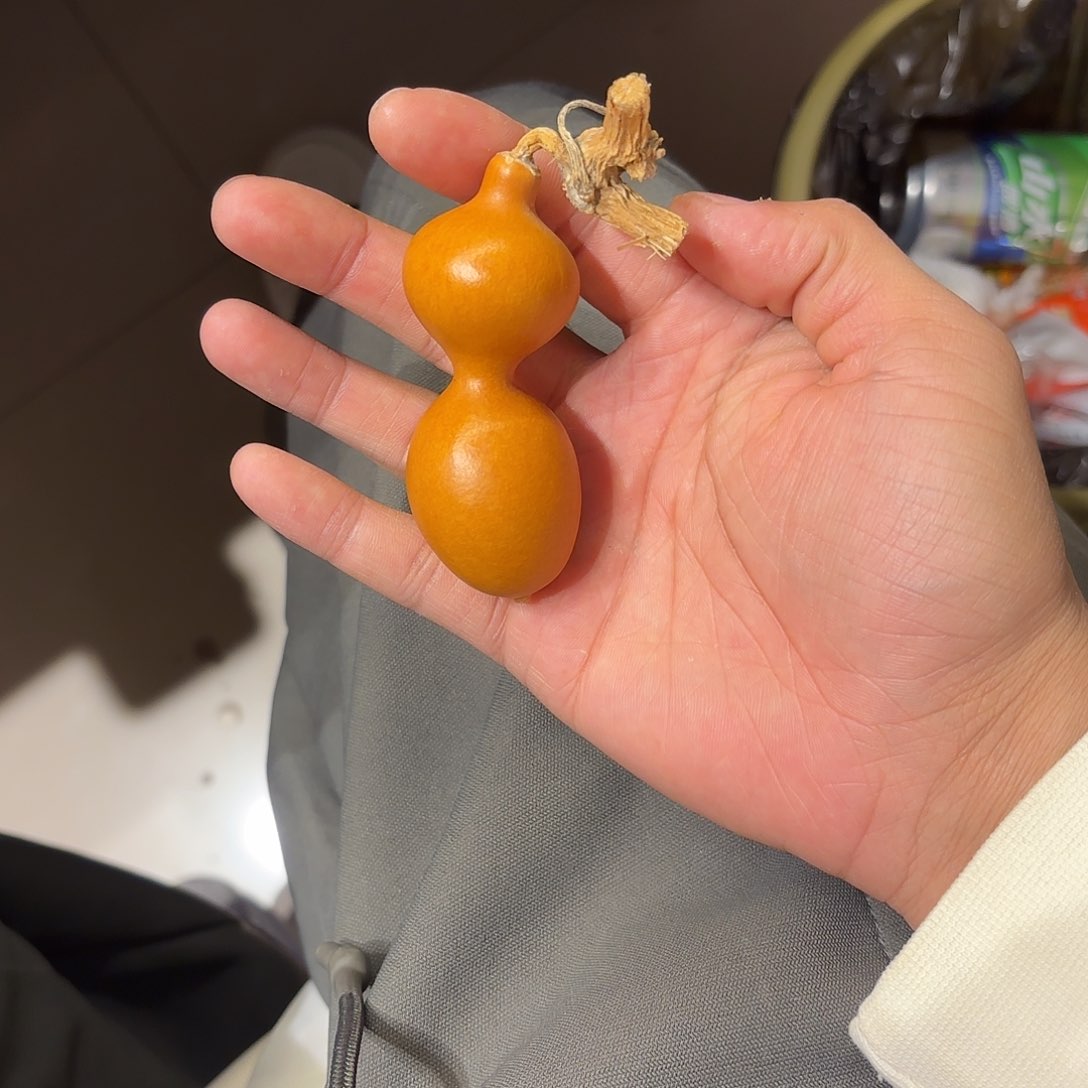 嘀*嘀葫芦111111111111111