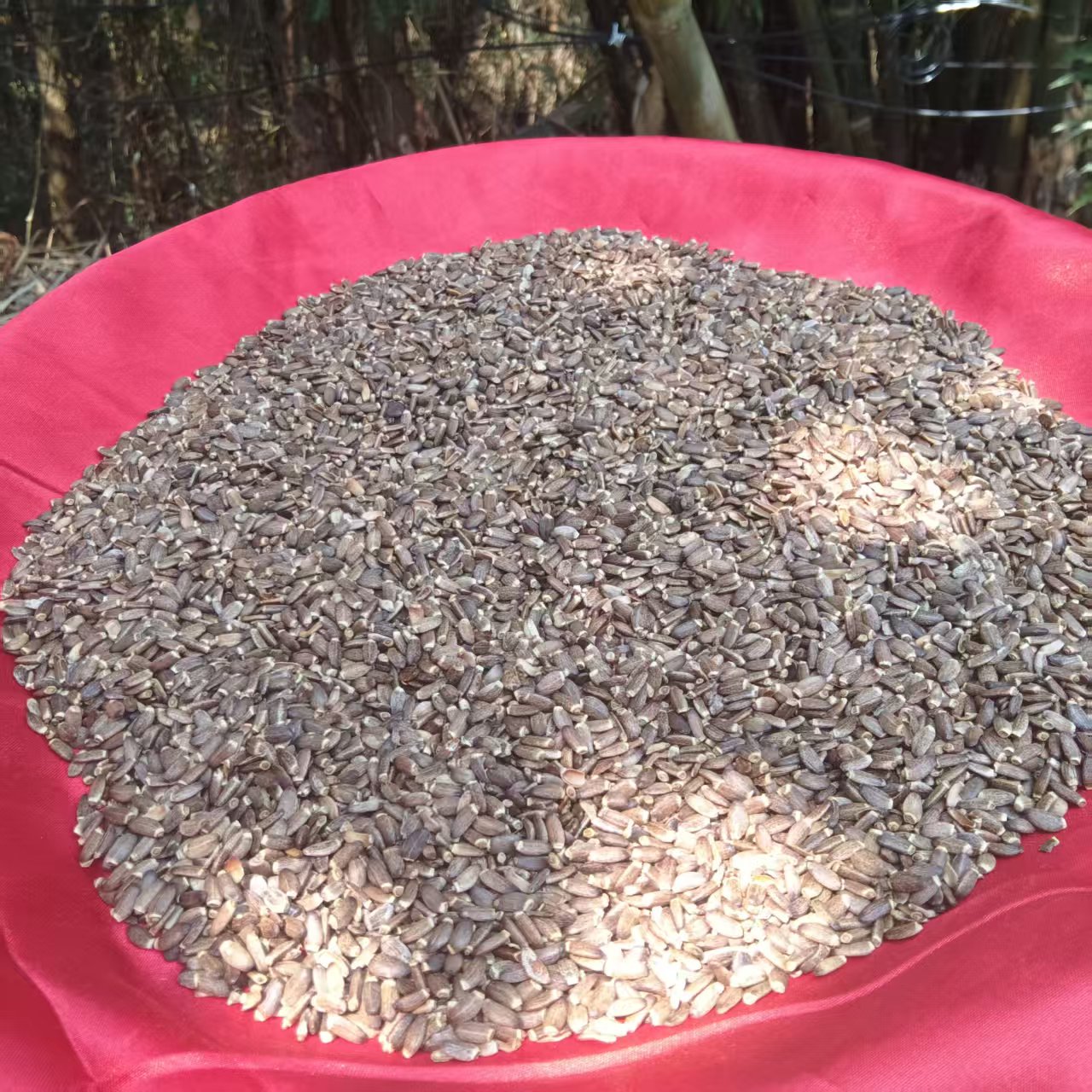 2【水-飞-蓟】净含量：250-500g【阿奎现收】