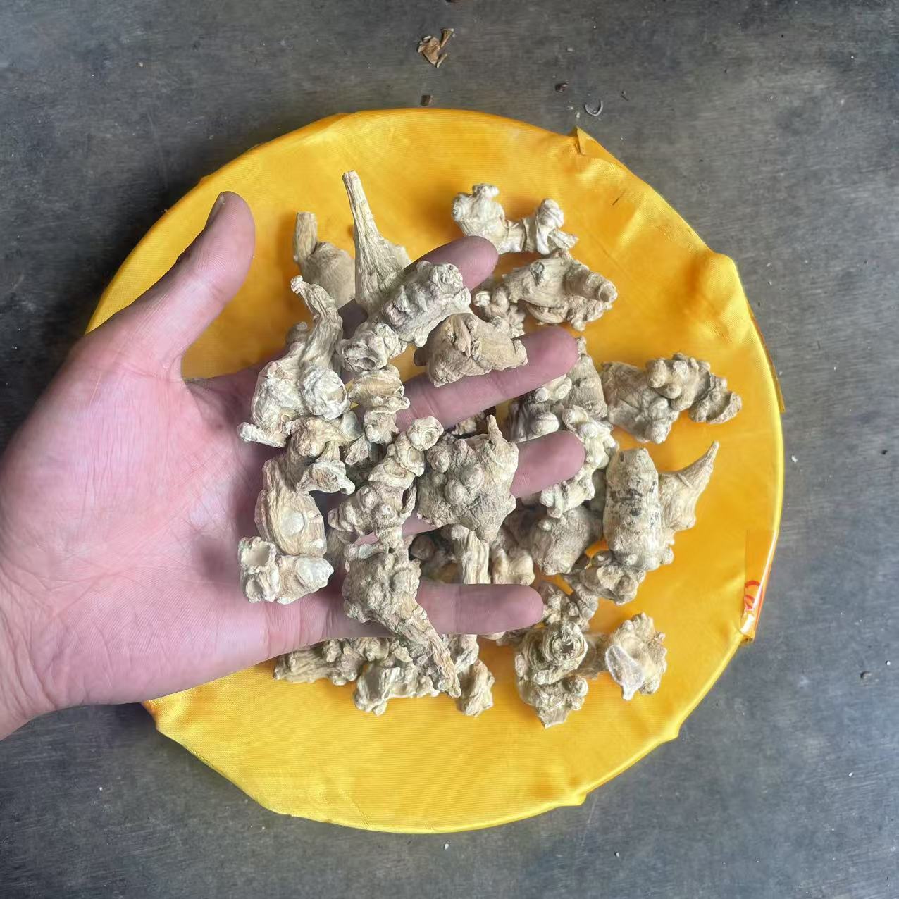 1【天-王-参】净含量100g-1000g【阿虎现收】菌