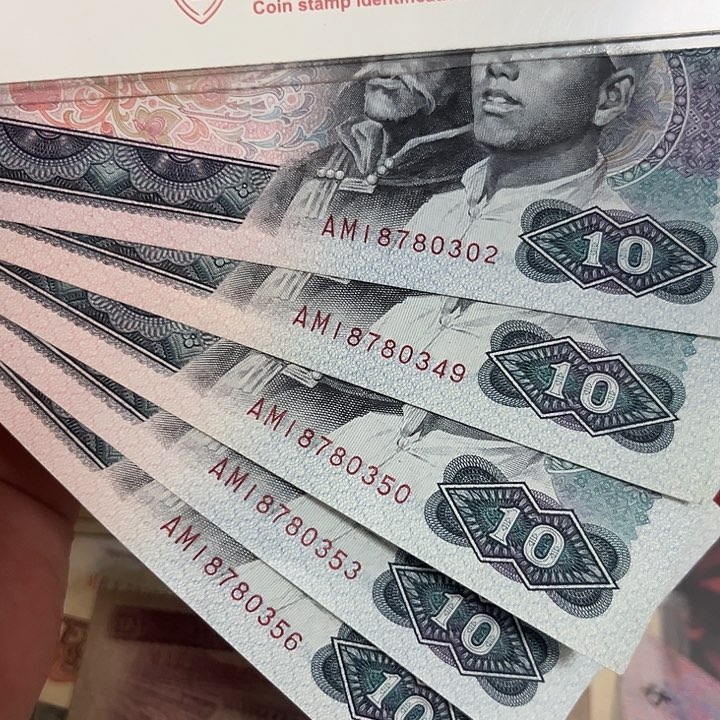 8010散5张全新直板。。。。。。