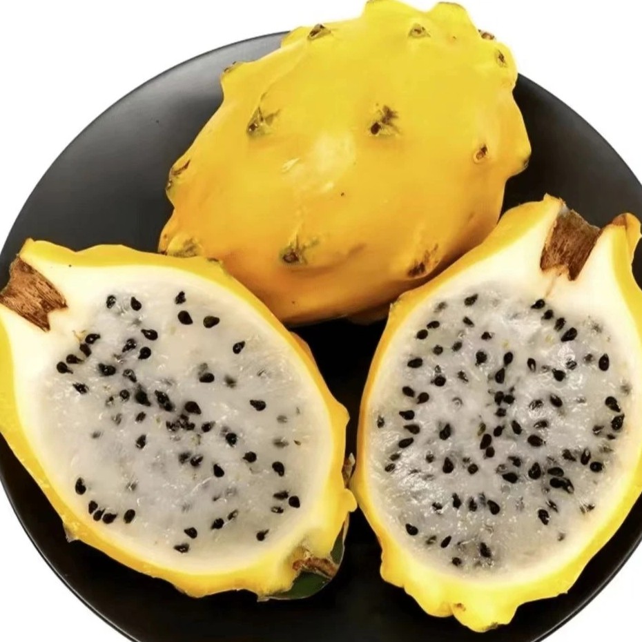 燕窝果三盒6颗1.5斤左右
