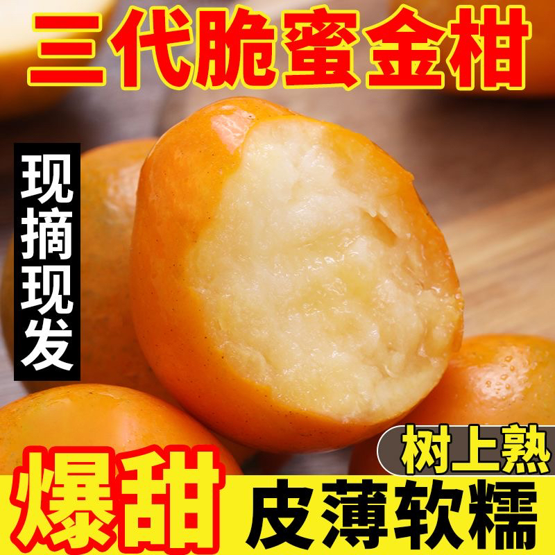 【糖果袋】正宗广西融安脆蜜金桔纯甜新鲜水果