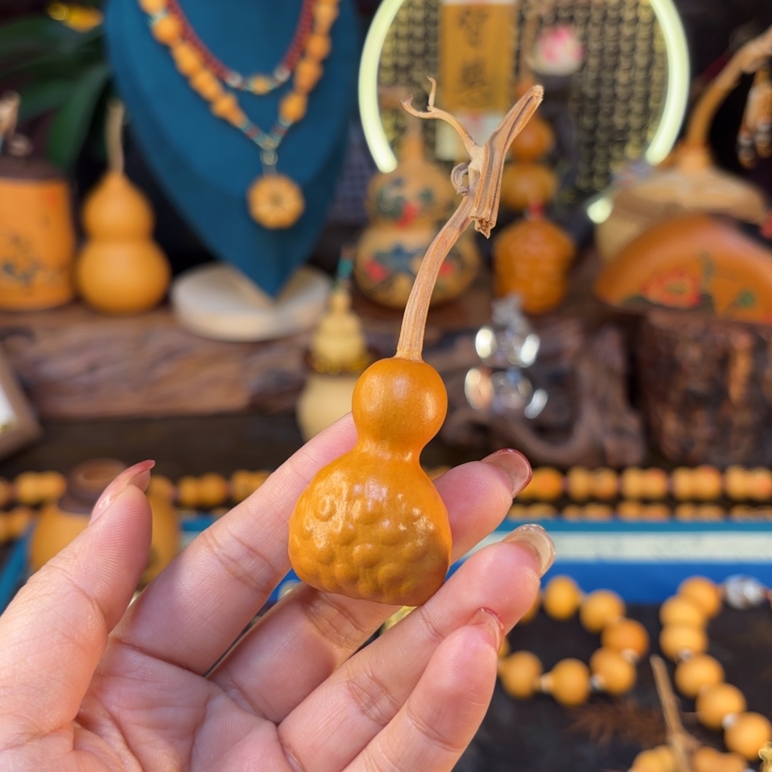 我们的生活也是如此的丰富多彩