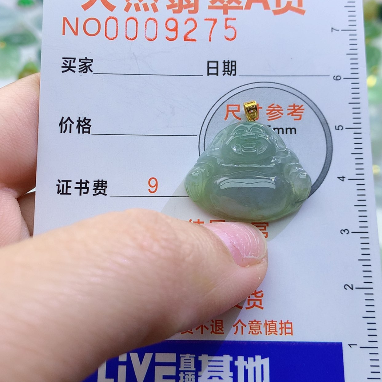 【闪购商品】翡翠颈饰未镶嵌颈饰8