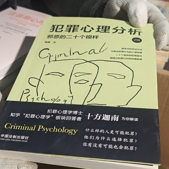 犯罪心理分析库存书