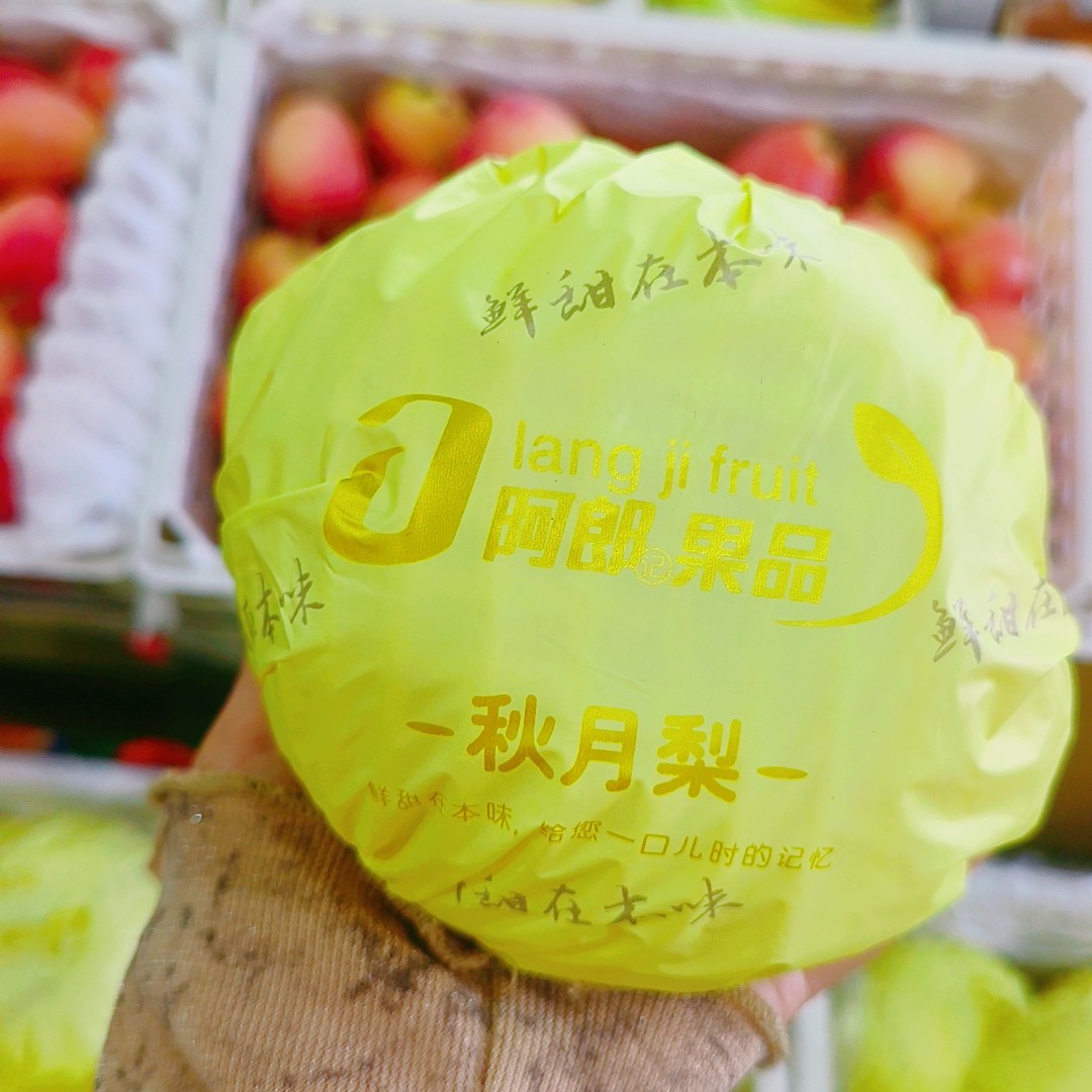 山东莱阳秋月梨4斤装