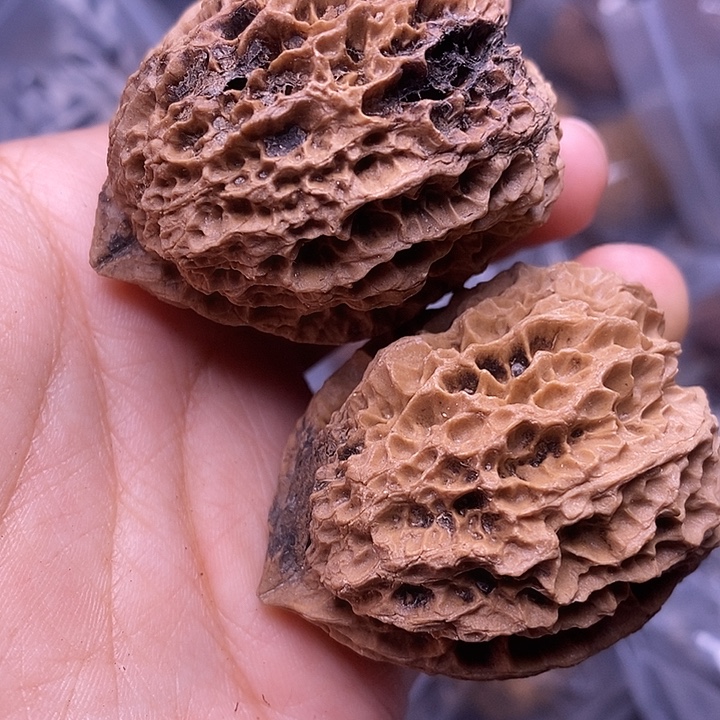 文玩核桃吊坠   29