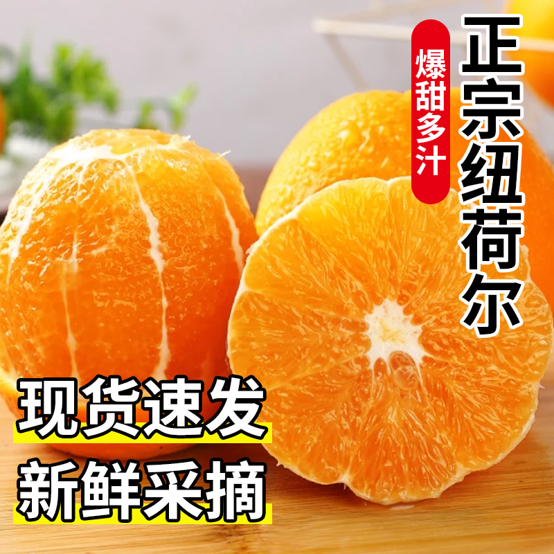 现摘现发纽荷尔脐橙应季新鲜水果味甜多汁皮薄肉厚不抛光不打蜡