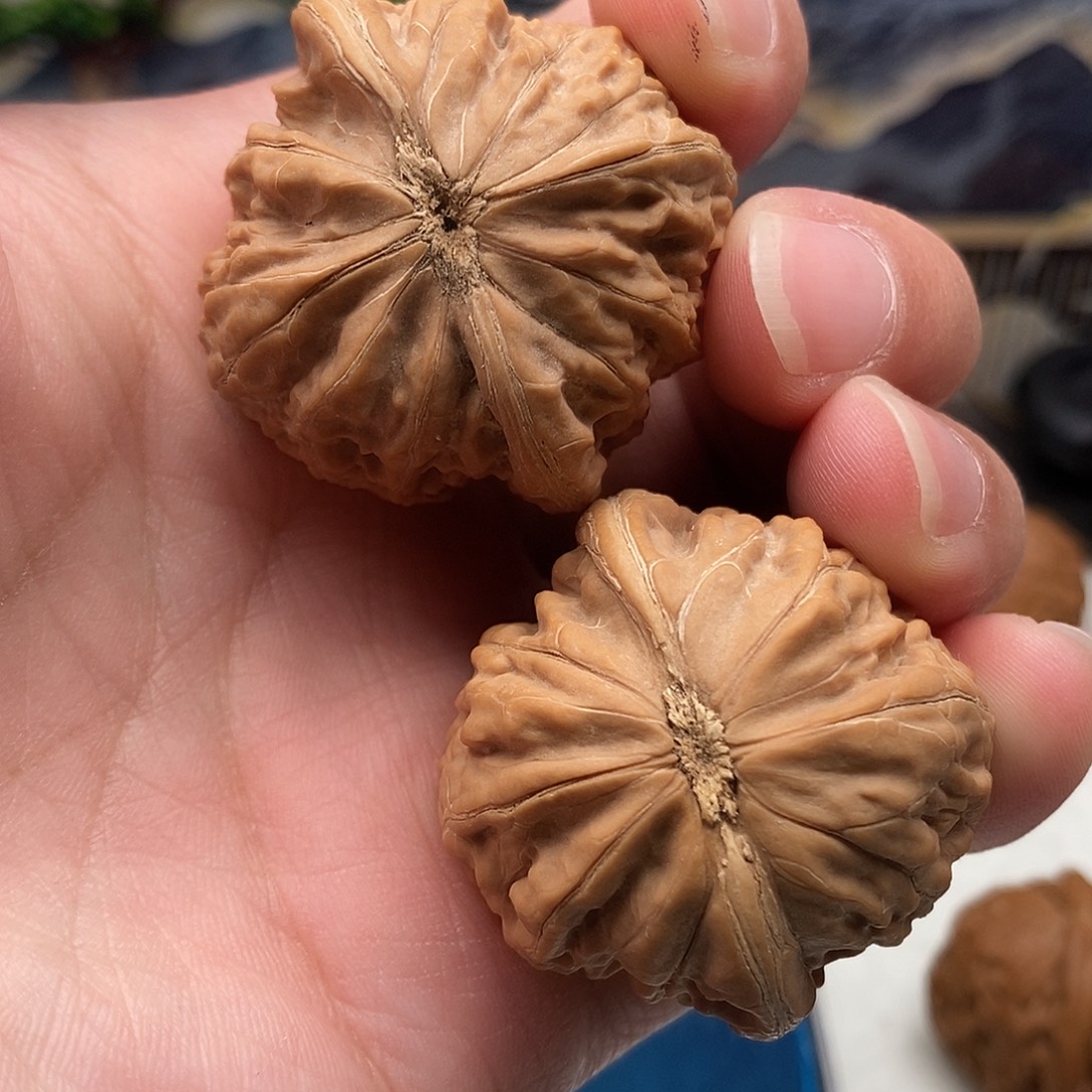 刘***恒39尺寸铁锤妹妹无修