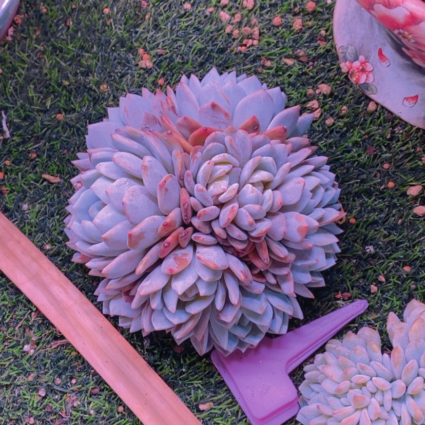 【闪购商品】?***?1111111