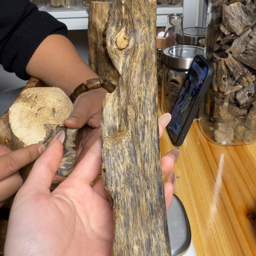 沉香白奇虫漏48克
