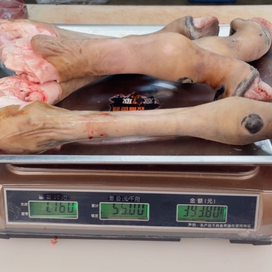 【闪购商品】冷冻保存30天包装河北省