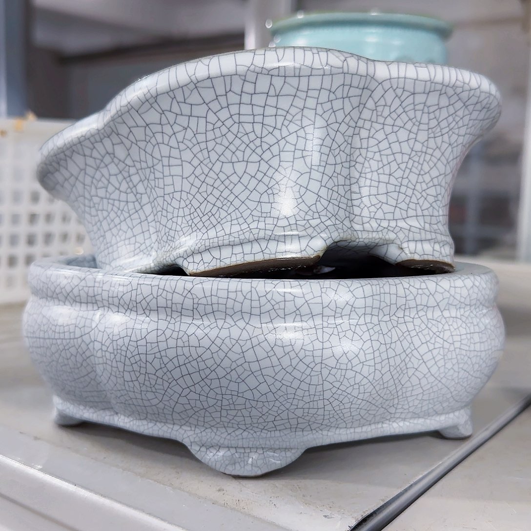 陶瓷花盆特价上新