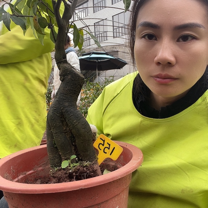 老***狼无花朵999900000000