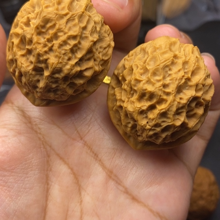 把件文玩核桃39尺珊瑚绣球