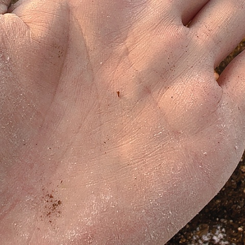 【闪购商品】小**&保温箱